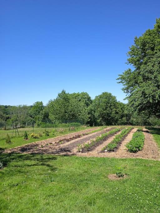 Les Jardins Des 3 Provinces- Gite Montcharvot Dış mekan fotoğraf