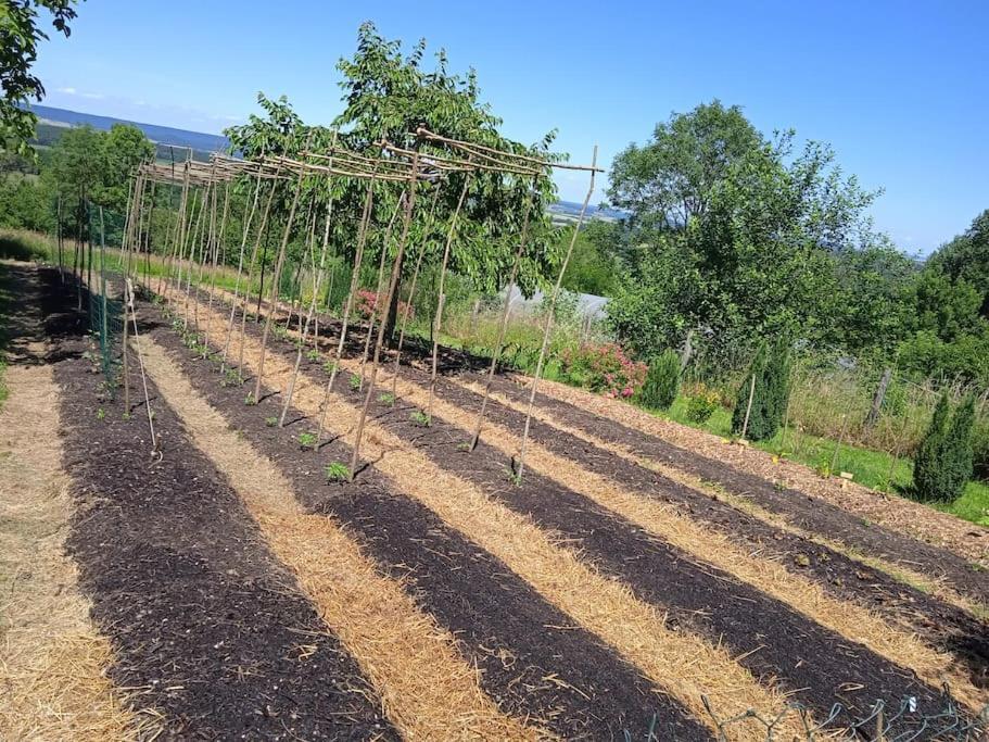 Les Jardins Des 3 Provinces- Gite Montcharvot Dış mekan fotoğraf