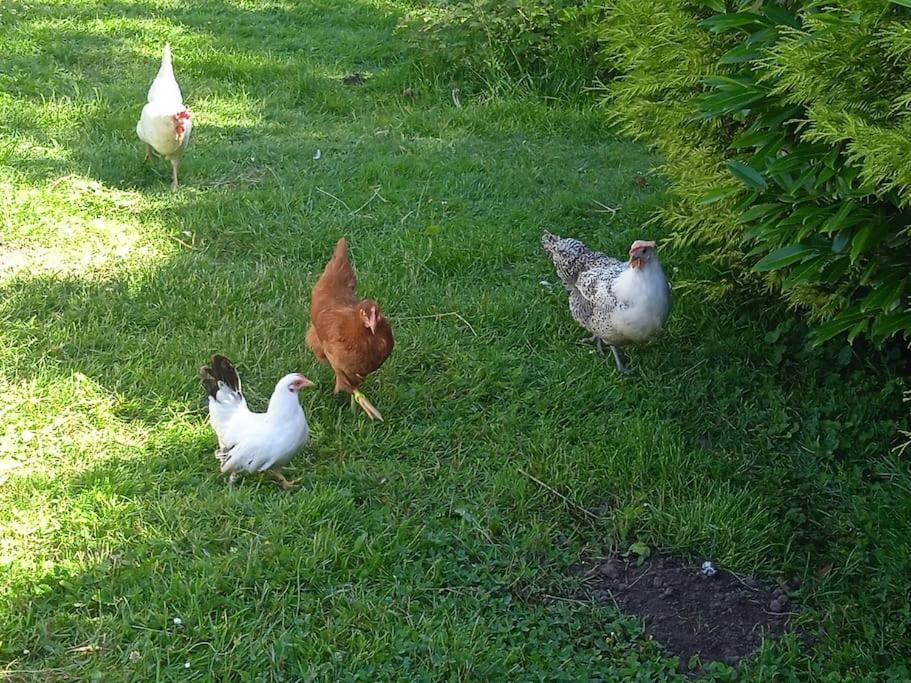Les Jardins Des 3 Provinces- Gite Montcharvot Dış mekan fotoğraf