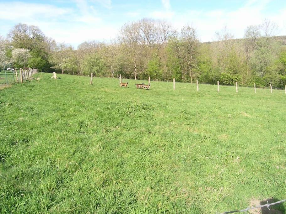 Les Jardins Des 3 Provinces- Gite Montcharvot Dış mekan fotoğraf