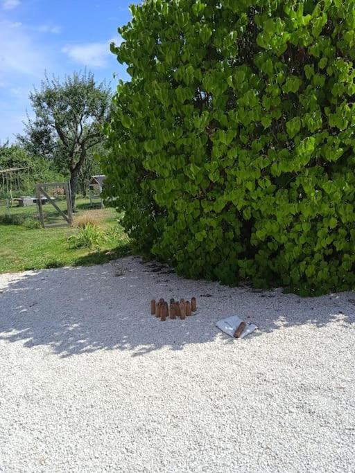 Les Jardins Des 3 Provinces- Gite Montcharvot Dış mekan fotoğraf