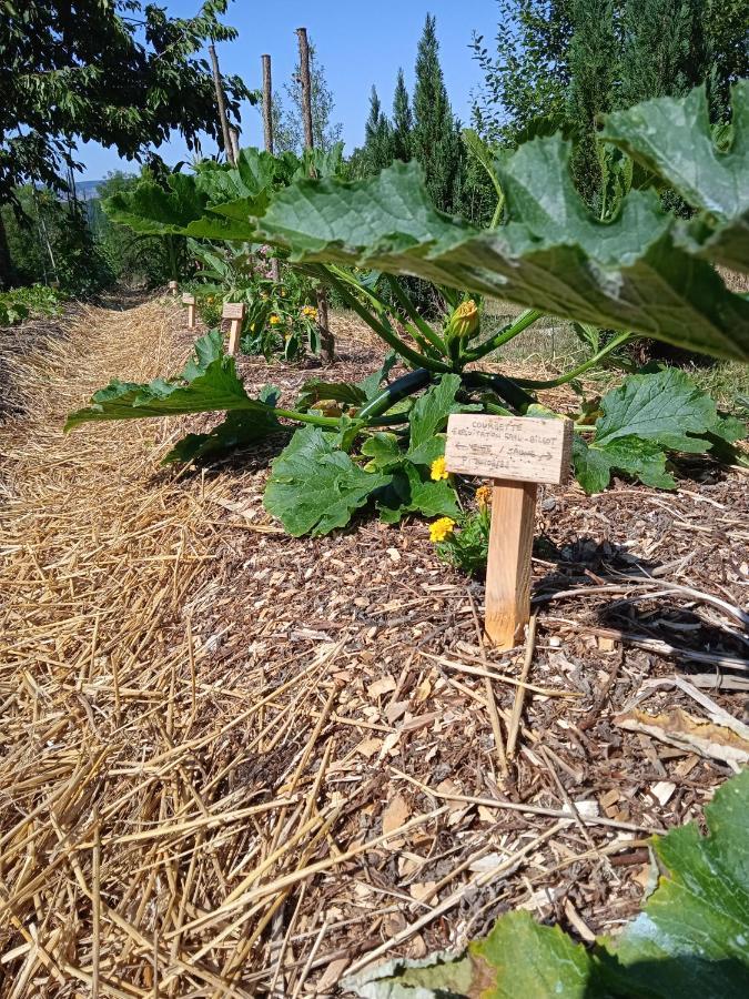 Les Jardins Des 3 Provinces- Gite Montcharvot Dış mekan fotoğraf